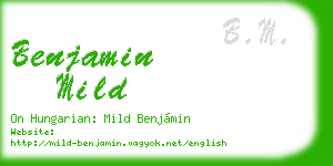 benjamin mild business card